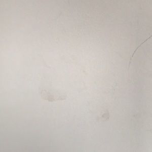 Meet your Posher, Jacqueline